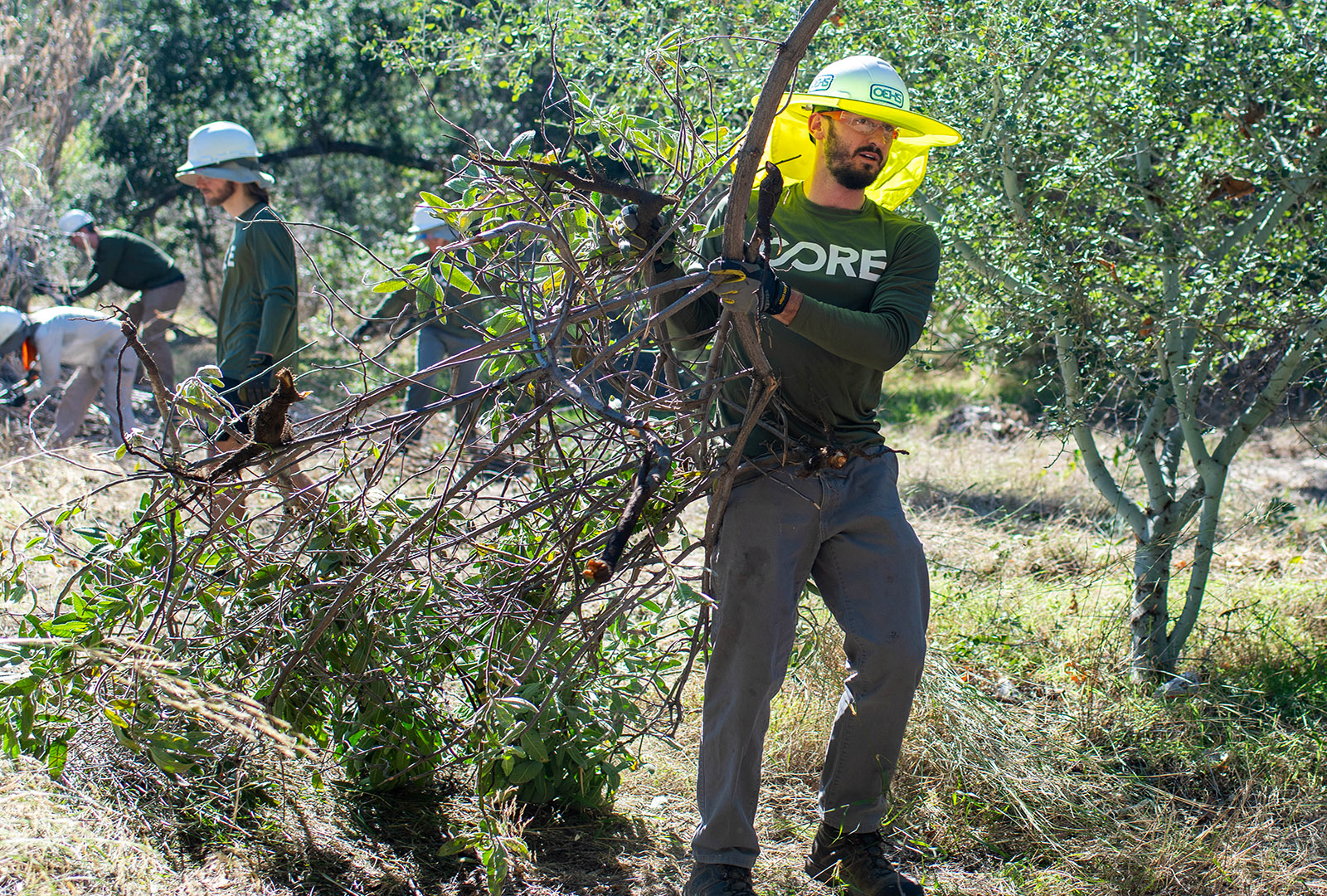 CORE team member clearing out overgrown branches in Big Tujunga Canyon, to help prevent wildfires.