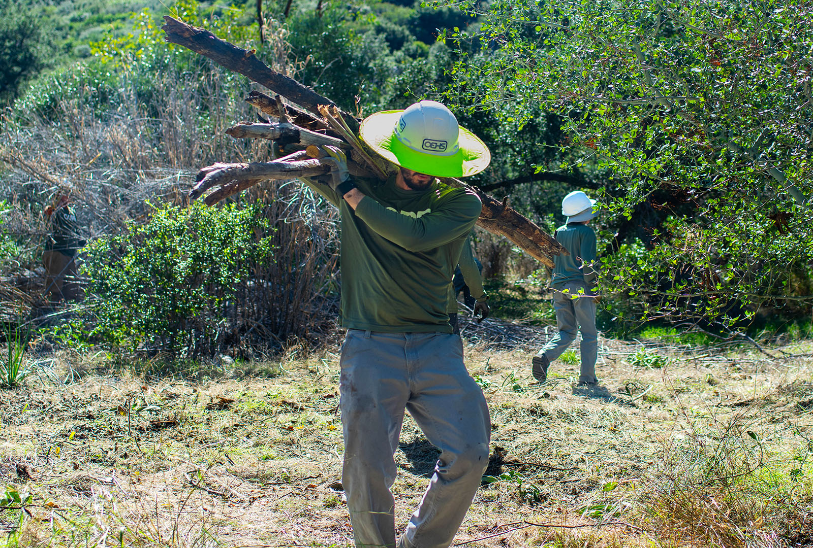 CORE team member clearing out overgrown branches in Big Tujunga Canyon, to help prevent wildfires.