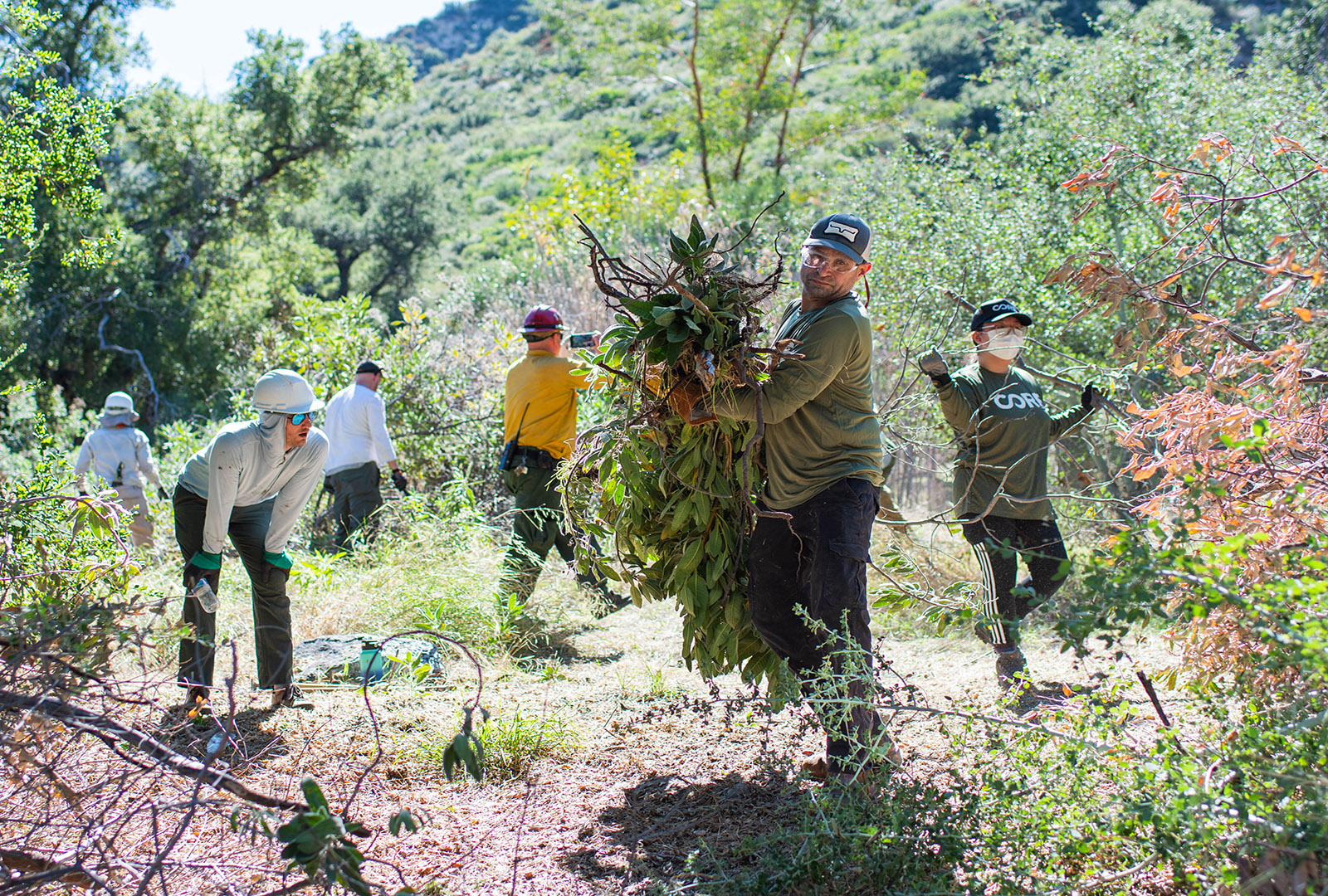 CORE team member clearing out overgrown branches in Big Tujunga Canyon, to help prevent wildfires.