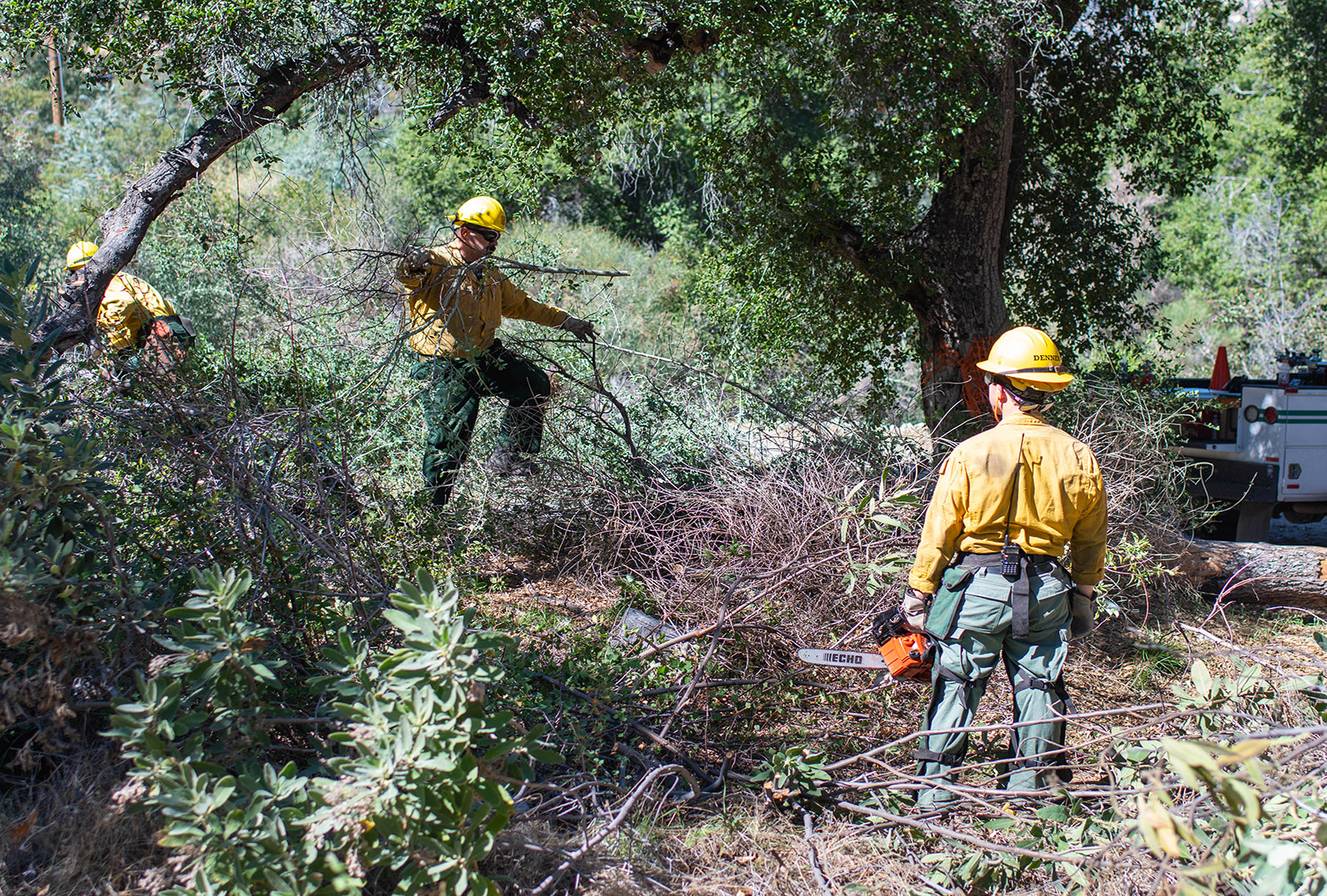 CORE team member clearing out overgrown branches in Big Tujunga Canyon, to help prevent wildfires.