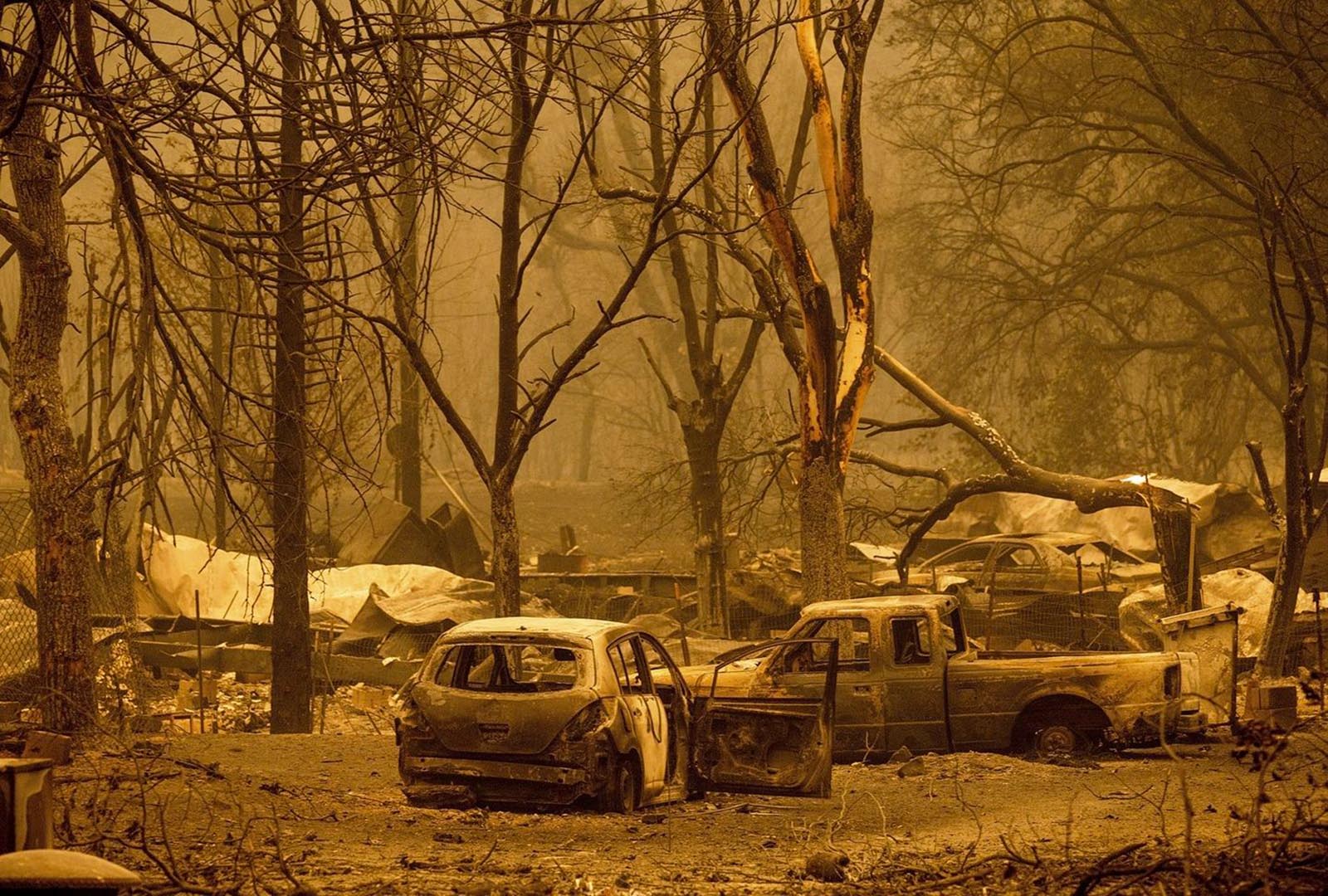 Burned out cars in a charred forest after a wildfire went through the area.