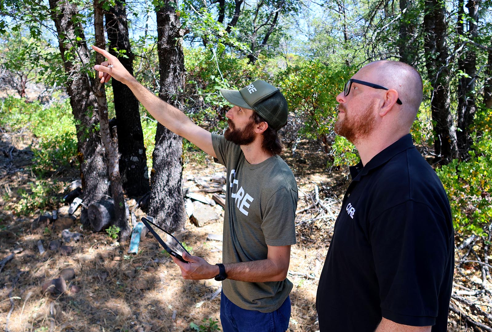 Two members of CORE staff, one pointing up looking at low hanging branches.