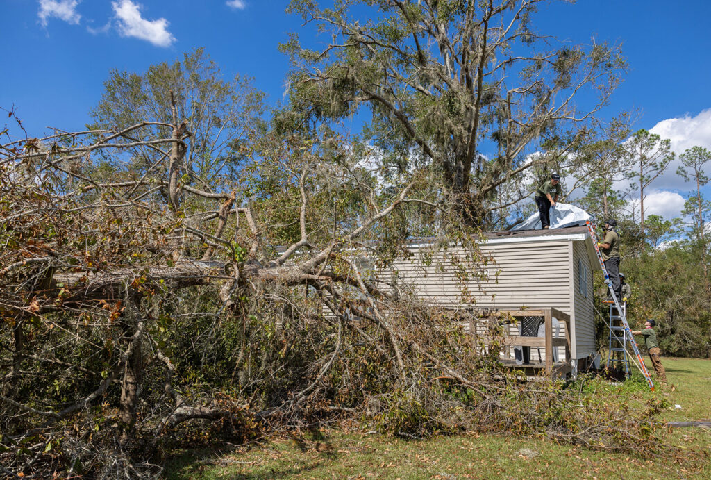 Massive fallen tree blocks the view of a mobile home where CORE staff are on roof assembling a tarp.