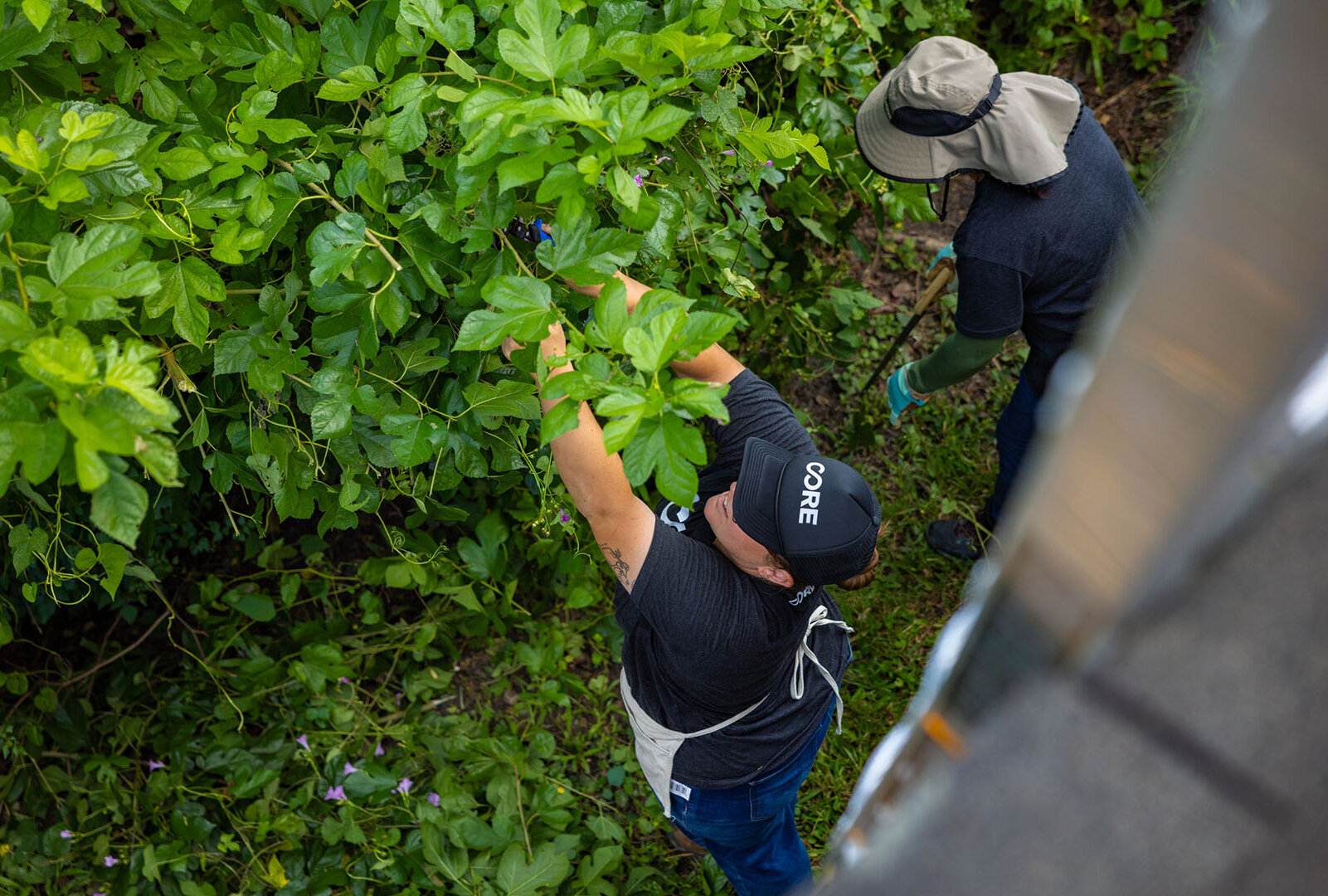 CORE volunteer clears extra foliage from outside mobile home