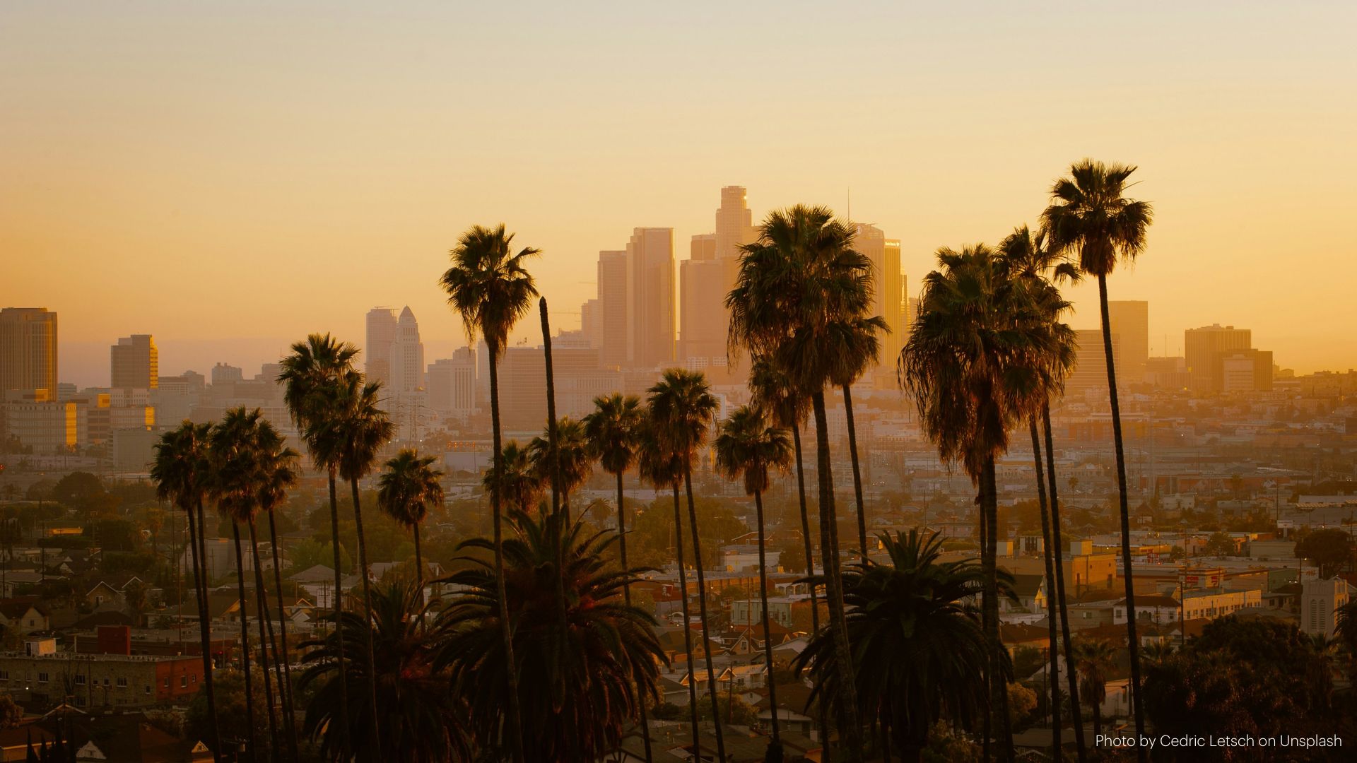 Los Angeles skyline with palm trees. Credit Cedric Letsch on Unsplash